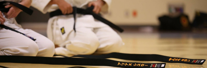 Martial Arts schools in the Houston area